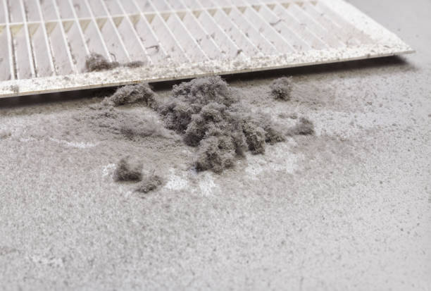 Air Duct Mold Removal in Pocono Springs, PA