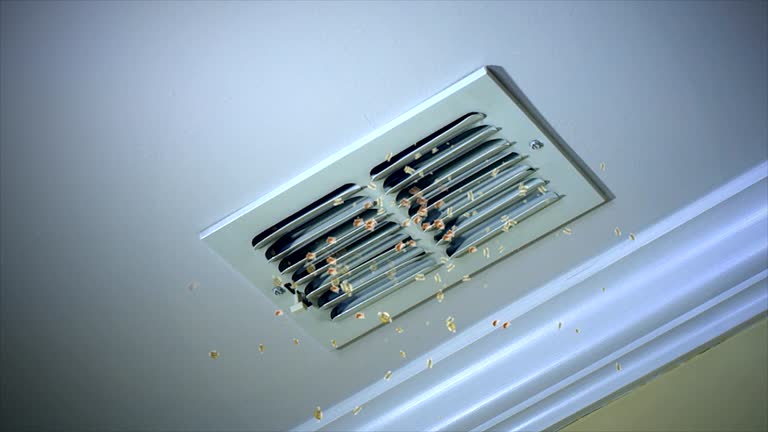Best Professional Duct Cleaning Services  in Pocono Springs, PA
