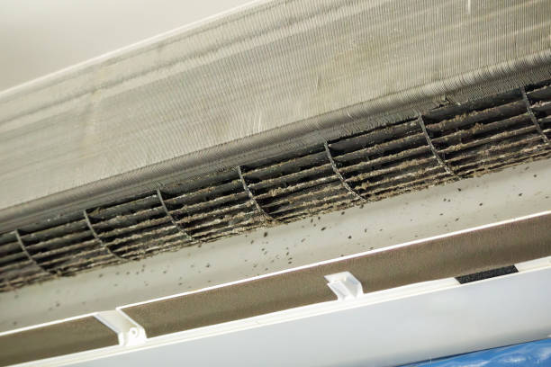 Best Home Air Vent Cleaning  in Pocono Springs, PA